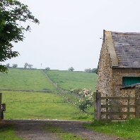 Brown Rigg